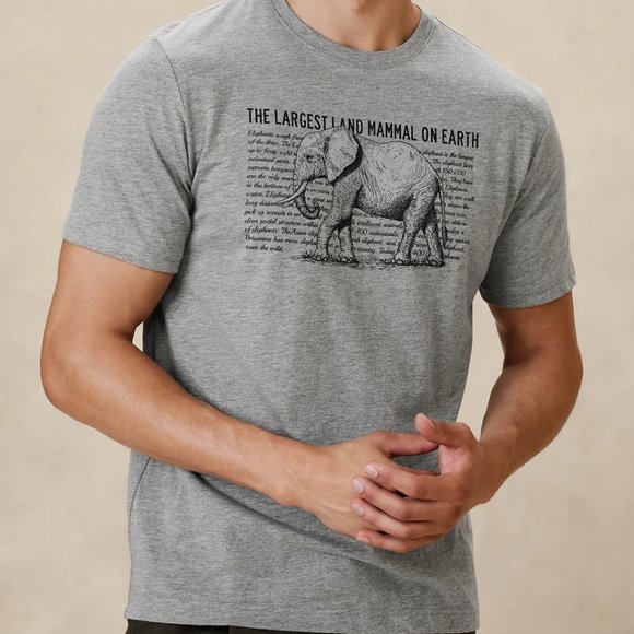 Banana Republic Other - Banana Republic 🍌 Elephant 🐘 Text Graphic T-Shirt heather gray NWT